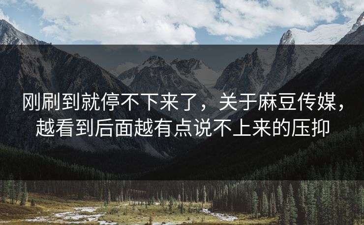刚刷到就停不下来了,关于麻豆传媒,越看到后面越有点说不上来的压抑 刚刷到就停不下来了,关于麻豆传媒,越看到后面越有点说不上来的压抑
