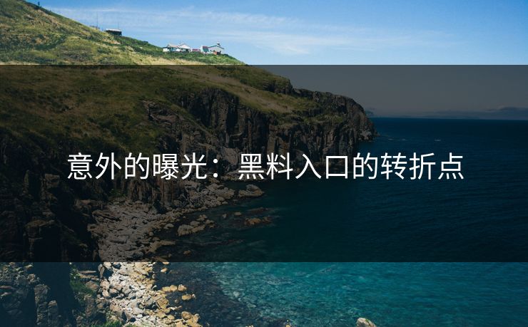意外的曝光:黑料入口的转折点 意外的曝光:黑料入口的转折点