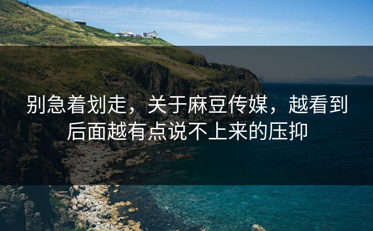 别急着划走，关于麻豆传媒，越看到后面越有点说不上来的压抑